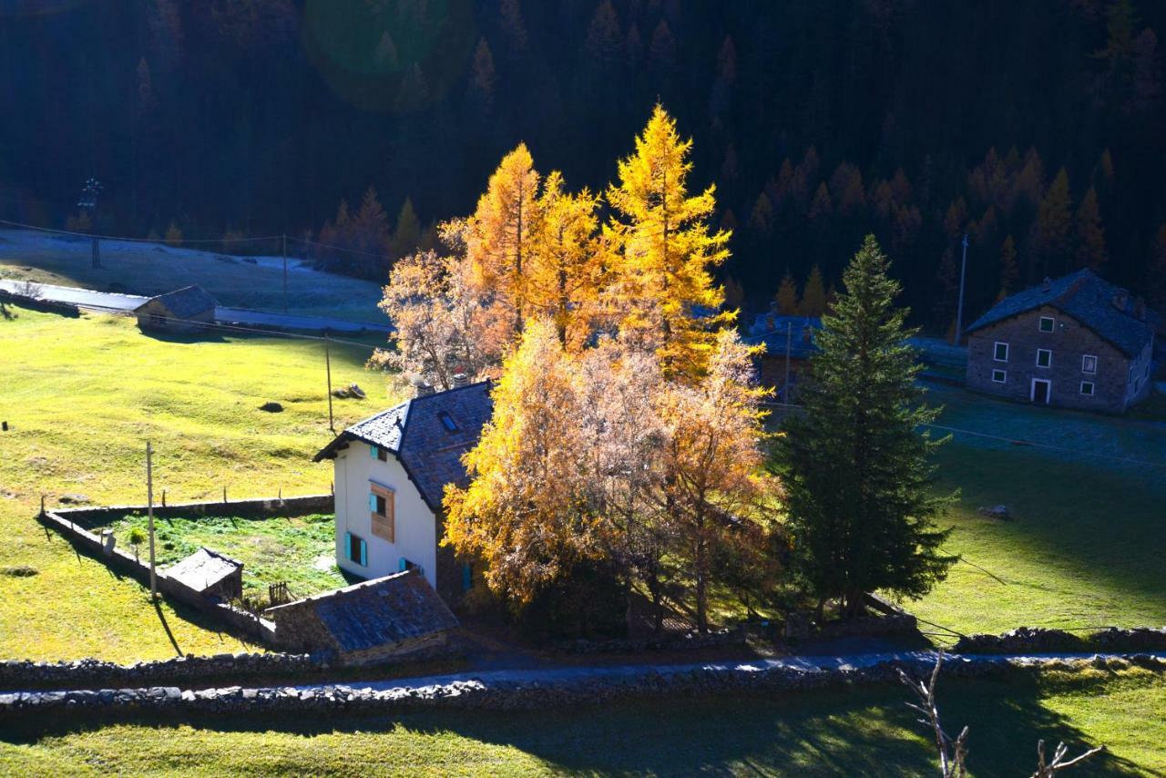 Il Cortese Chiareggio Extérieur photo